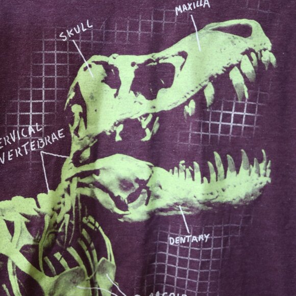 Cat & Jack Boys T-rex Dinosaur Skeleton T-shirt  8/10 - Picture 3 of 6